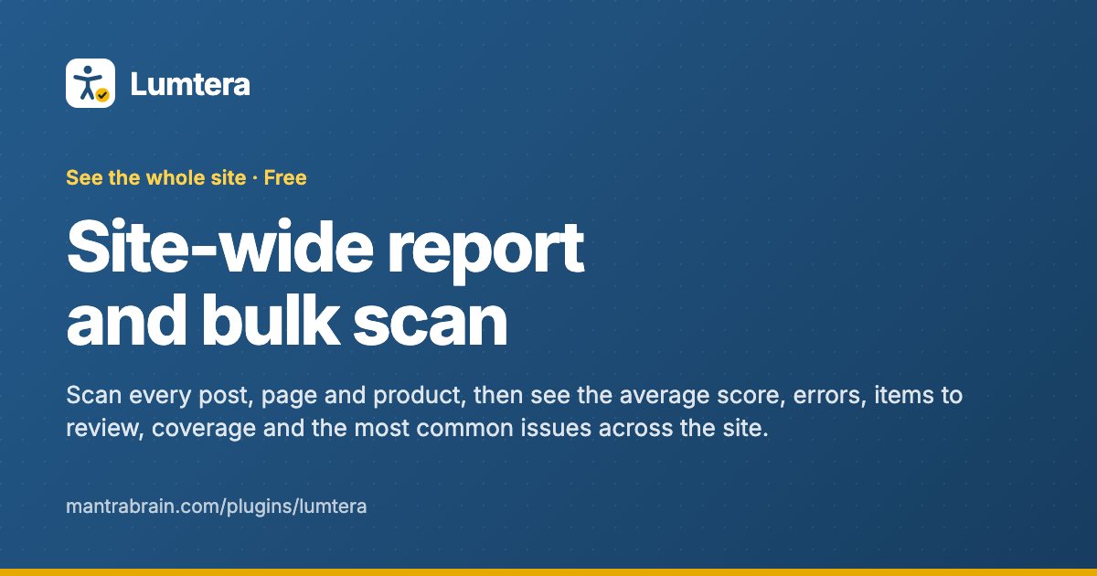 Site-wide report and bulk scan – Lumtera Free