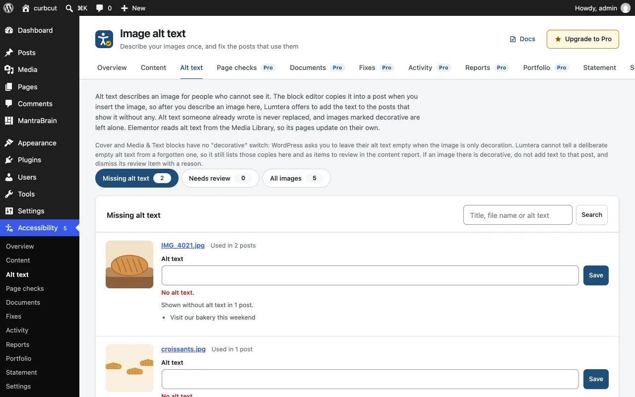 The Lumtera alt text screen listing images with missing alt text and the posts that use each one.